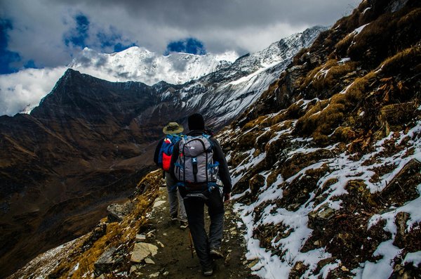 L'impact du tourisme vert sur la biodiversité